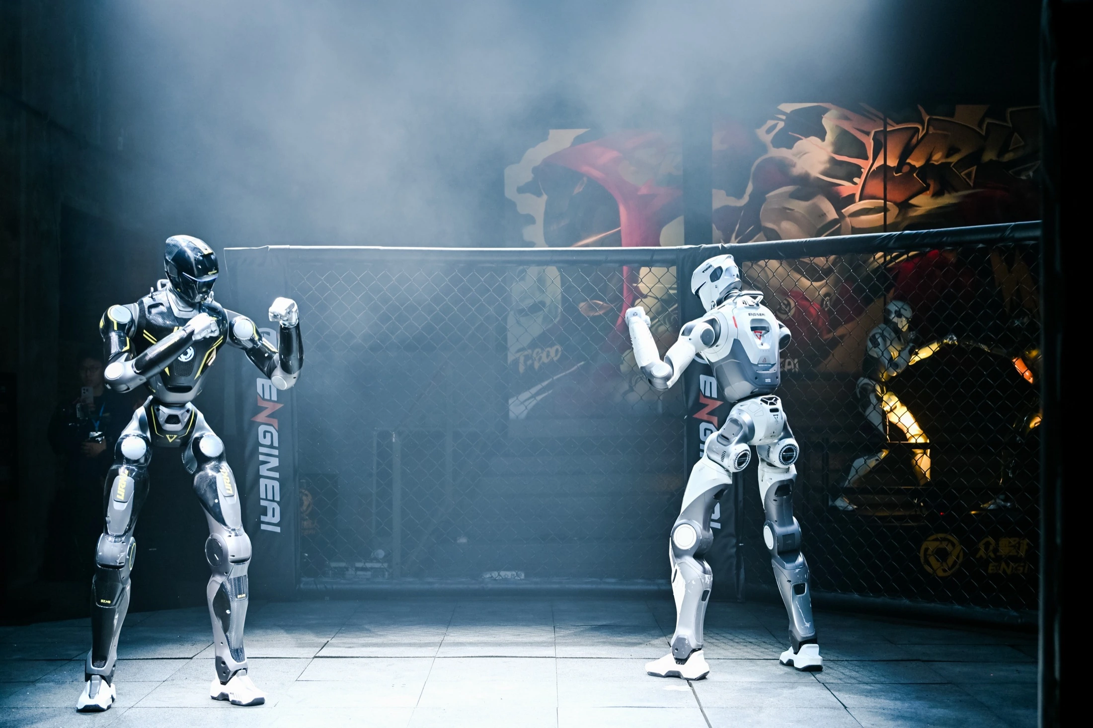 Two humanoid robots facing each other inside the cage