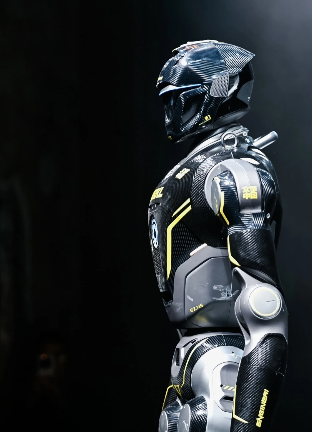 Black humanoid fighter in the arena
