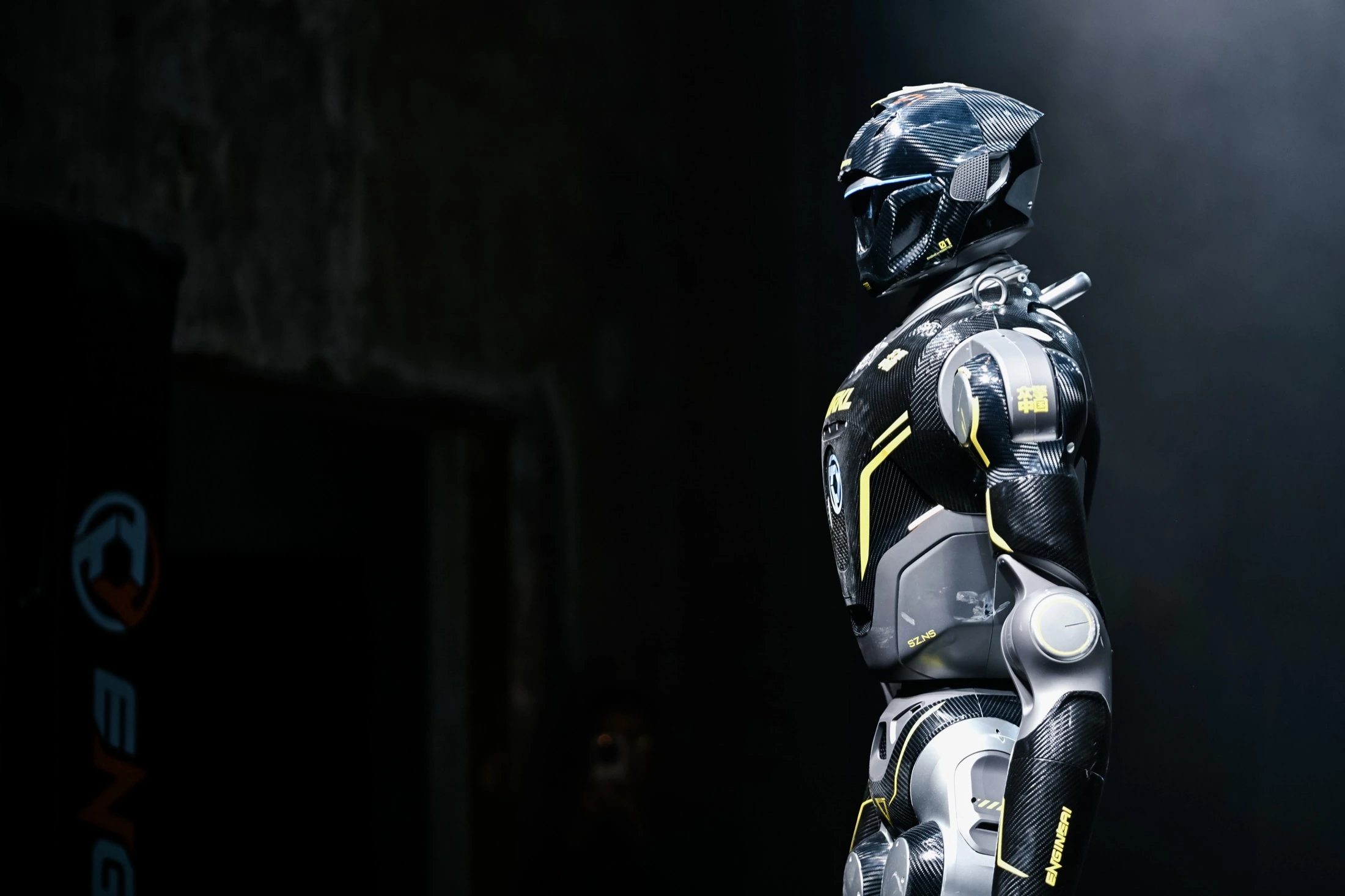 Dark humanoid fighter in the arena