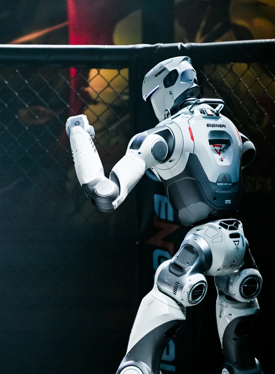 White humanoid fighter in the arena